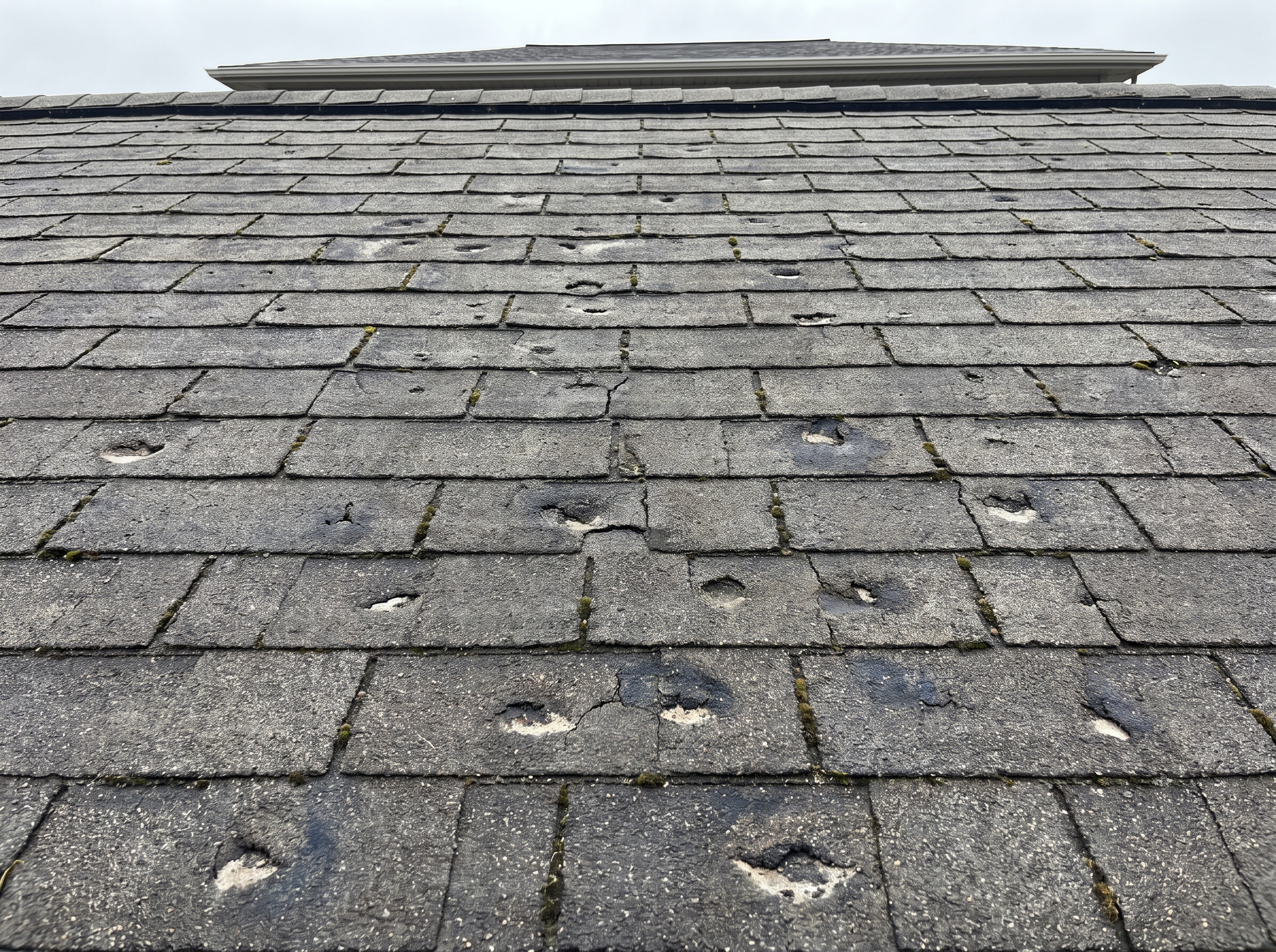 Close-up of hail-damaged asphalt shingles with visible impact bruising and cracking before replacement